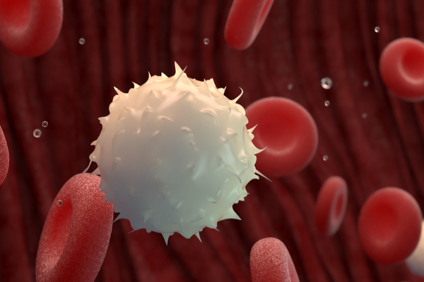 அளப்பரிய நன்மைகளை அள்ளித்தரும்  அன்னாசிப் பழம்! | Pineapple Fruit Gives Tremendous Benefits