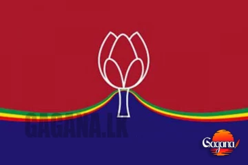 නියෝජ්‍ය නගරාධිපතිගේ පක්ෂ සාමාජිකත්වයත් ගස්