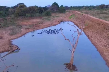 74 நீர்த்தேக்கங்களின் நீர் கொள்ளளவு 36 சதவீதம் வரை வீழ்ச்சி