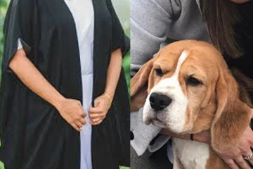 நாயை கொலை செய்த உயர் நீதிமன்ற பெண் சட்டத்தரணி கைது