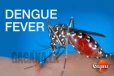 ඩෙංගු මර්ධනයට ක්‍රියාත්මක වන අලුත්ම වැඩේ මෙන්න