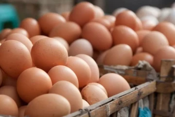 இலங்கையில் முட்டை ஒன்று 40 ரூபாய்க்கு விற்பனை