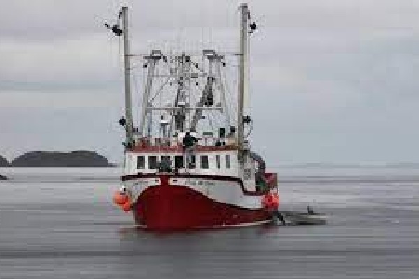 கனடாவில் மீன்பிடி படகு விபத்து;3 பேர் பலி | Three Fishers Die After Boat Sinks