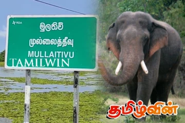 முல்லைத்தீவில் யானை தாக்கியதில் குடும்பஸ்தர் படுகாயம்