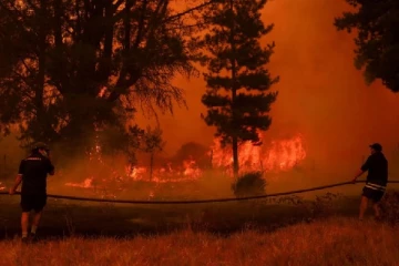 சிலி நாட்டில் பயங்கர காட்டுத் தீ: 1000க்கும் மேற்பட்டோர் காயம்! அதிகரிக்கும் பலி எண்ணிக்கை