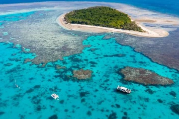 உலகின் மிகப்பெரிய பவளப்பாறை தொடர்பில் வெளியான அறிக்கை!