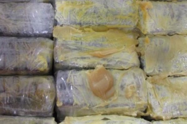 கனடாவில் 200 கிலோ கிராம் எடையுடைய கொக்கெயின் மீட்பு | Cbsa Seizes 200 Kg Of Cocaine From Ship