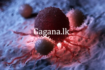 පිළිකා ගැන නවතම අනාවරණය.