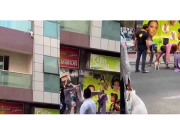 அந்தரத்தில் உயிருக்கு போராடிய பூனை - காப்பாற்றிய 4 பேருக்கு ரூ.10 லட்சம் வழங்கி துபாய் துணை அதிபர் பாராட்டு