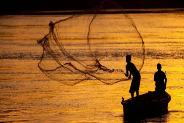 கரைவலைத் தொழிலை ஊக்குவிப்போர் மீது மிகக் கடுமையான சட்ட நடவடிக்கை தேவை: ரவிகரன் எம்.பி வலியுறுத்து | Ravikaran Mp Speech