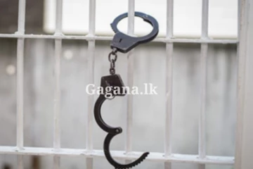 කුවෙට්හි දී අත්අඩංගුවට ගත් කලාකරුවන් නිදහස් කෙරේ...