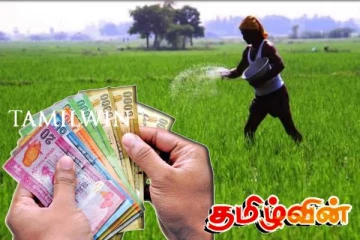 விவசாயிகளுக்கு உரமானியமாக இதுவரை 190 மில்லியன் ரூபா வைப்பில்!