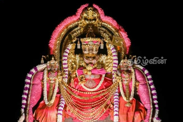 யாழில் சிறப்புற நடைபெற்ற நல்லூரானின் திருக்கல்யாண உற்சவம் (Photos) | Nallur Kandaswamy Kovil Festival Jaffna