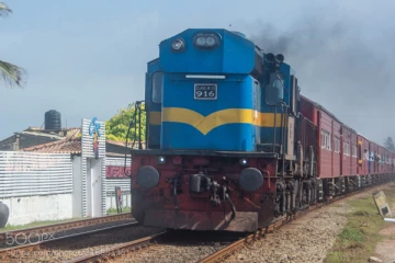 இலங்கை வந்த வெளிநாட்டவர் ரயிலில் இருந்து விழுந்து பலி!