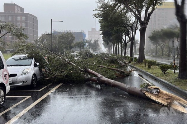 தைவானை புரட்டிப்போட்ட போடூல் புயல்; 400 விமானங்கள் ரத்து | Typhoon Bodol Hits Taiwan 400 Flights Cancelled