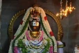 தினம் ஒரு திருவாசகம்