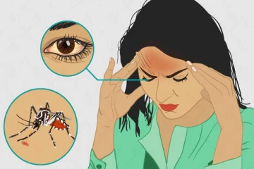 மஞ்சள் காய்ச்சல் குறித்து தெரியுமா? இதன் அறிகுறிகள் இதுதானாம்