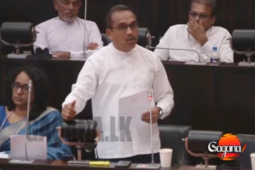 ඔච්චරයි අඩු - මන්ත්‍රීවරුන්ට හින්දි චිත්‍රපටි පෙන්නන ඇමති බිමල්ගෙන් යෝජනාවක්