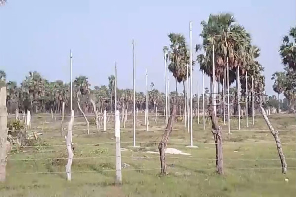 யாழ்ப்பாணத்தில் தனிநபரால் அத்துமீறி சுவீகரிக்கப்பட்டபல ஏக்கர் அரச காணி | Gover Land Acquired By An Individual In Jaffna