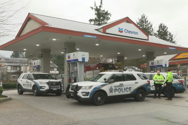 நத்தார் தினத்தில் பொலிஸ் வாகனம் மோதியதில் பெண் பலி | Woman Dead After Being Struck By Police Vehicle