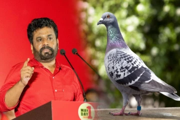 அநுரவை சம்மாந்துறை பகுதியில் பதற்றமடைய வைத்த புறா மீட்பு: இருவர் மீது விசாரணை