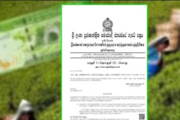 தோட்டத் தொழிலாளர்களின் சம்பள விவகாரம்! இன்று வெளியாகிறது வர்த்தமானி