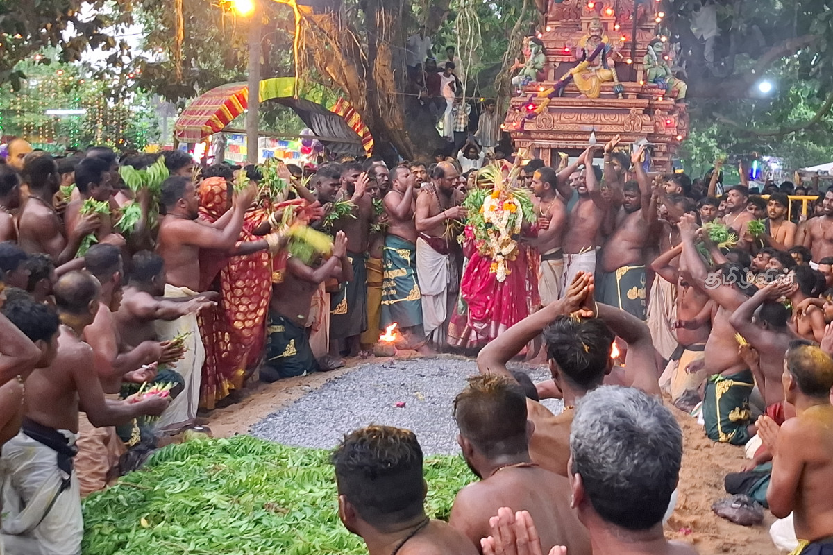 வரலாற்று சிறப்புமிக்க புன்னைச்சோலை பத்திரகாளி அம்மன் ஆலய வருடாந்த தீ மிதிப்பு - திரளும் பக்தர்கள் | Trampling Ceremony At Pathirakaali Amman Temple