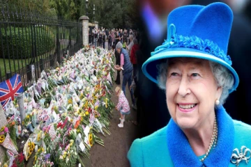 கனவில் வந்த மகாராணியை காண லண்டனுக்கு ஓடிவந்த நபர்!