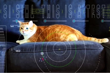 பூமியிலிருந்து 3 கோடி கிமீ தொலைவில் உள்ள பூனை; HD காணொளியை அனுப்பி NASA சாதனை