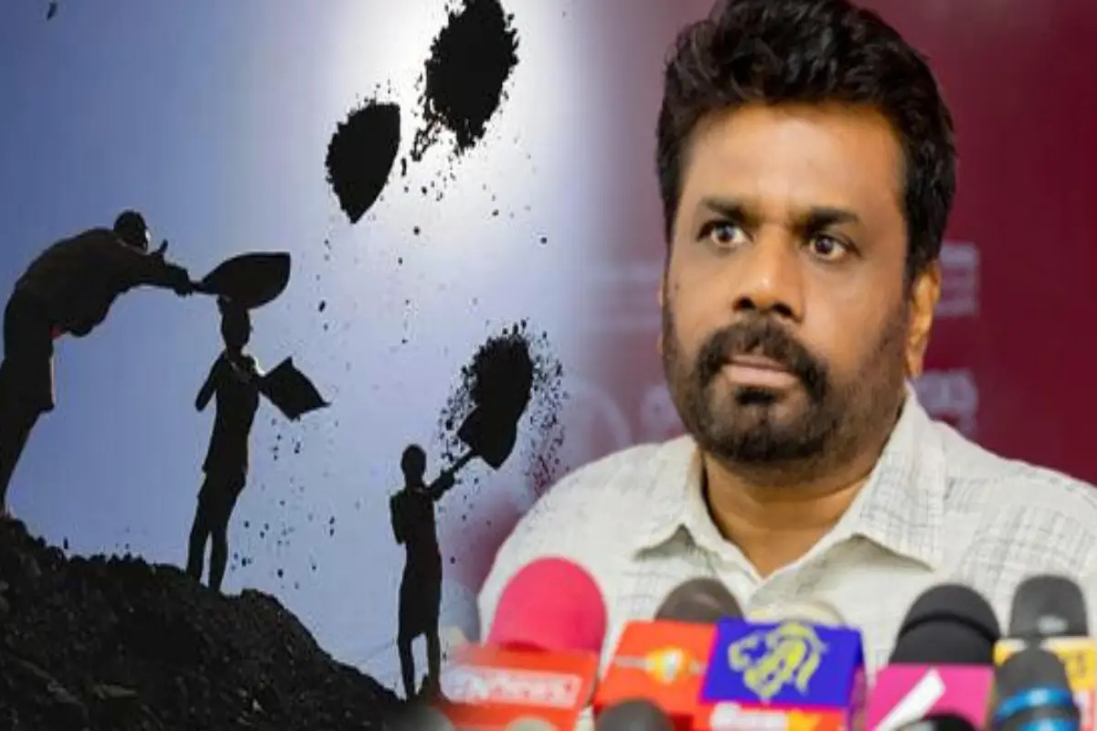 நிலக்கரி மோசடி தொடர்பில் தீவிரப்படுத்தப்படும் விசாரணை - ஜனாதிபதியின் முதற்கட்ட நகர்வு | Presidential Commission Begins Investigations Coal