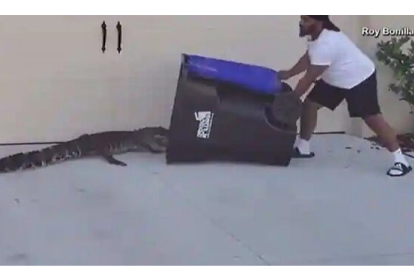 குழந்தையிடம் மெதுவாக நெருங்கி வந்த 6 அடி முதலை - லாவகமாக பிடித்த ராணுவ வீரர் - திக் திக் வீடியோ - தமிழ்நாடு