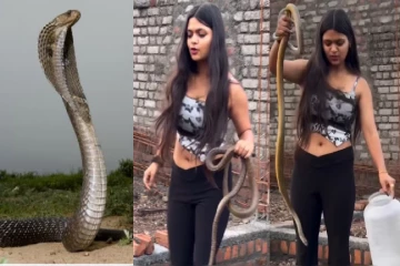 பெண்ணை பார்த்து பாம்பு பயந்த தருணம் - படு வைரலாகும் காணொளி