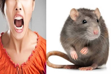 எலியை பழிக்கு பழி வாங்கிய இளம்பெண்.., விரலை கடித்ததால் ஆத்திரம்