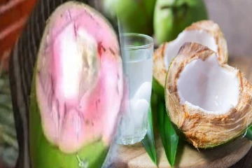 இலங்கையில் முதன்முறையாக அடையாளம் காணப்பட்ட புதிய தேங்காய் வகை