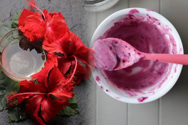 கூந்தல் வளர்ச்சியை அதிகரிக்க செம்பருத்தி ஒன்று போதும்.., எப்படி பயன்படுத்துவது? | Hibiscus Hair Pack To Get Hair Growth In Tamil