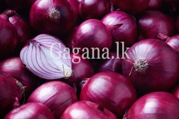 ලොකු ළූණු මිල පහළට. - නව මිල ගණන් මෙන්න.