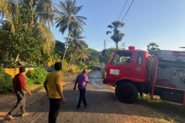 அதிகரித்த வெப்பத்தால் மரங்களில் பற்றிய திடீர் தீ