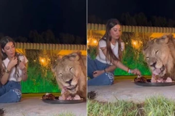 சிங்கத்துடன் Dinner சாப்பிடும் இளம்பெண்... ட்ரெண்டாகும் காட்சி