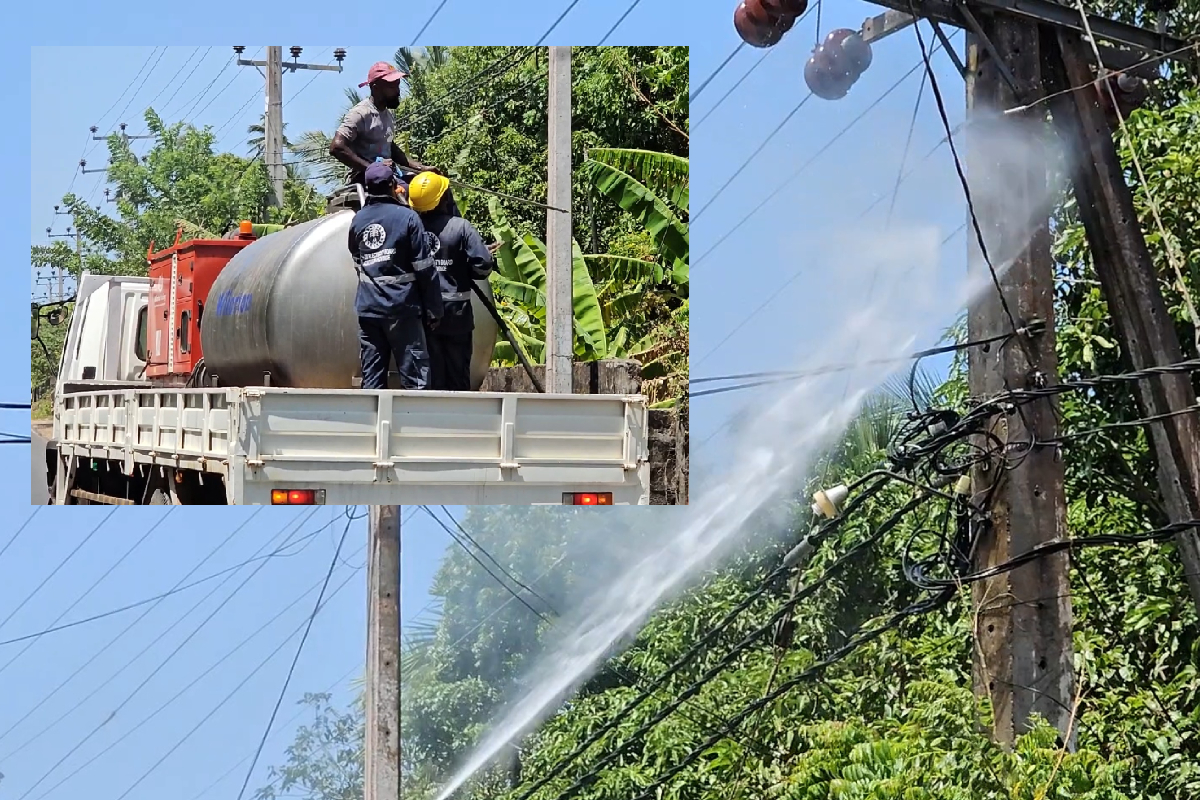 யாழில் தொடரும் மின் தடை - அவதியில் மக்கள்: வெளியான காரணம் | Work Underway To Restore Power Supply In Jaffna யாழில் தொடரும் மின் தடை - அவதியில் மக்கள்: வெளியான காரணம் | Work Underway To Restore Power Supply In Jaffna