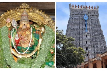 கோவில் கலச நவதானியம்; 12 ஆண்டுக்கு பின் எப்படி இருக்கு தெரியுமா? அதிசயம் ஆனால் உண்மை!