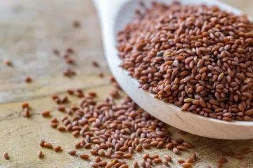 உடல் எடையை குறைக்க இந்த விதைகள் மட்டும் போதும்! ஆனால்...