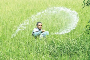 இறக்குமதி செய்யப்பட்ட யூரியா உரப் பொதி ஒன்றின் விலை இவ்வளவு ரூபாவா?