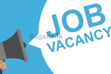 රට රැකියාවලට යන්න ඉන්න අයට රැකියා අවස්ථාවන්.. - වැඩේ වෙන්නෙ මෙහෙමයි..