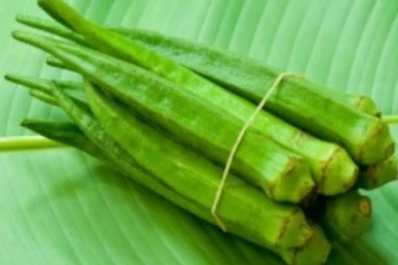 சர்க்கரை நோயாளிகள் வெண்டைக்காய் சாப்பிட்டால் என்ன நடக்கும் தெரியுமா?