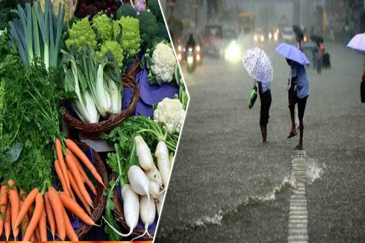 நாட்டில் மரக்கறிகளின் விலை அதிகரிக்கக்கூடுமா? | Could The Price Of Vegetables Increase In Country