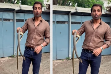 விஷப்பாம்பை வெறும் கைகளால் பிடித்த நடிகர் - வைரலாகும் காணொளி