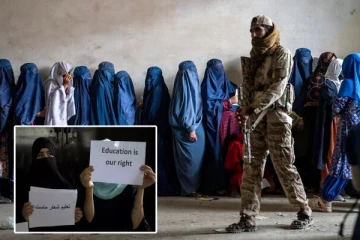 பெண்களை வேலைக்கு அமர்த்தினால் NGO-க்கள் மூடப்படும்: தலிபான்கள் விடுத்துள்ள எச்சரிக்கை