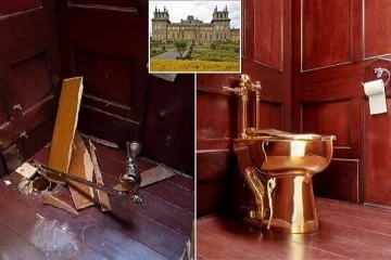 அரண்மனையில் டாய்லெட்டை திருடிய கும்பல்; இதை கூடவானு யோசிக்கலாம்! அதோட மதிப்பு அப்படி..