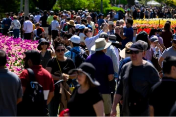 வெளிநாட்டவர்களுக்கான தொழில் வாய்ப்பும் நிரந்தர வதிவுரிமையும்...