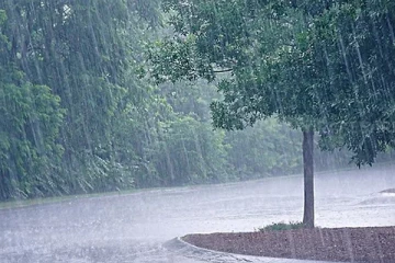 இன்றைய நாளுக்கான வளிமண்டளவியல் அறிக்கை